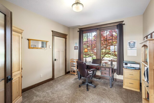 16510 N Brannon Ln, Spokane, WA 99208 - carpeted office space with baseboards
