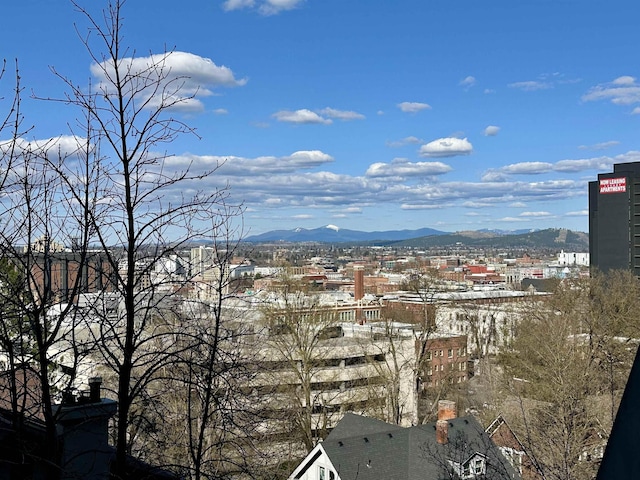 700 W 7th Ave # 206, Spokane, WA 99204 - city view with mountains