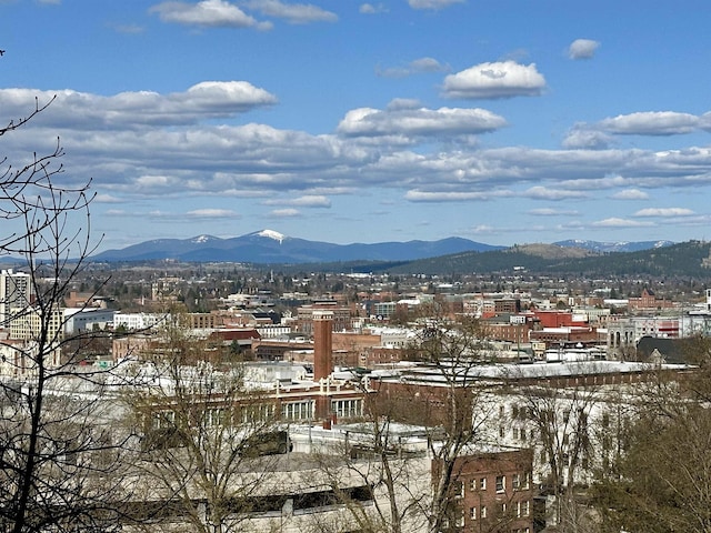 700 W 7th Ave # 206, Spokane, WA 99204 - view of city featuring a mountain backdrop