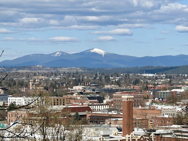 700 W 7th Ave # 206, Spokane, WA 99204 - view of mountain background