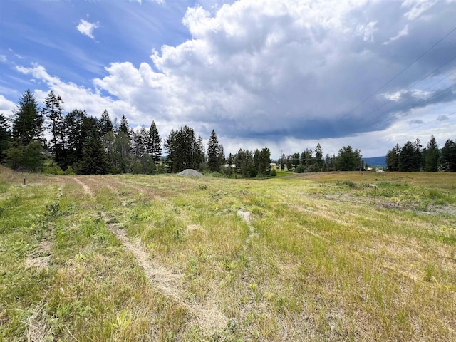 2082 Whitetail Way, Colville, WA 99114