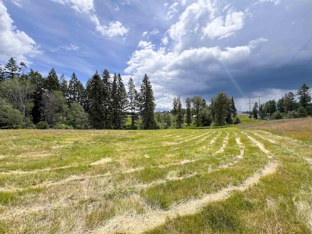 2082 Whitetail Way, Colville, WA 99114