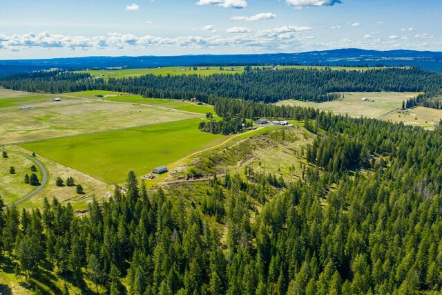 25512 N Orchard Bluff Rd, Chattaroy, WA 99003