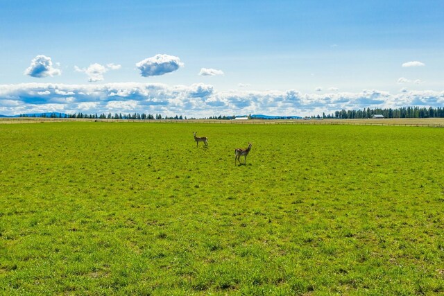 25512 N Orchard Bluff Rd, Chattaroy, WA 99003