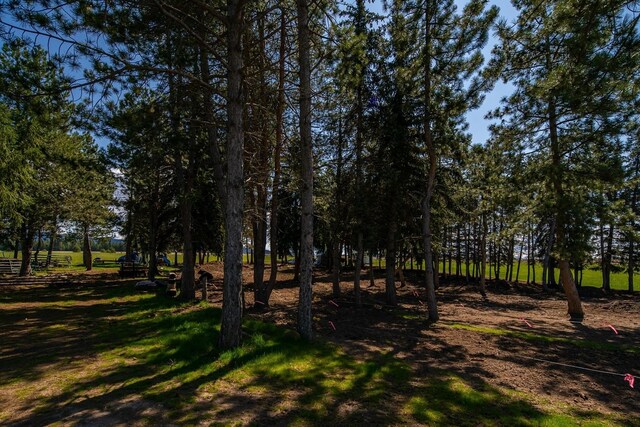 25512 N Orchard Bluff Rd, Chattaroy, WA 99003
