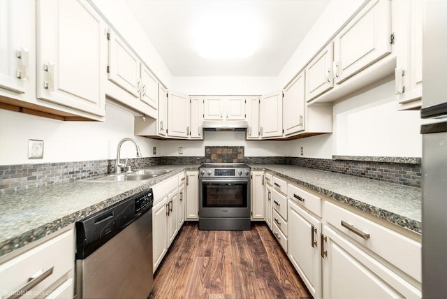 707 W 6th Ave Unit 41, Spokane, WA 99204 - kitchen featuring appliances with stainless steel finishes, a sink, under cabinet range hood, dark wood-style flooring, and backsplash