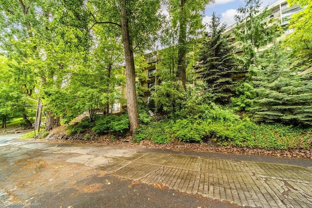707 W 6th Ave Unit 41, Spokane, WA 99204 - view of patio / terrace