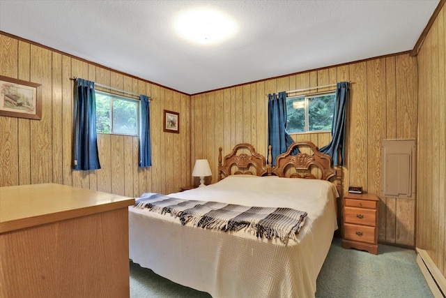 3970 Cedar Bay Rd, Loon Lake, WA 99148 - carpeted bedroom featuring a baseboard heating unit and wood walls