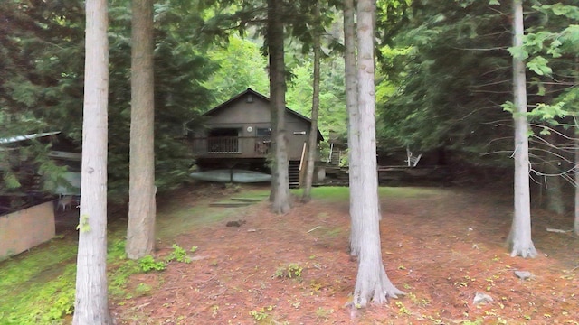 3970 Cedar Bay Rd, Loon Lake, WA 99148 - view of yard