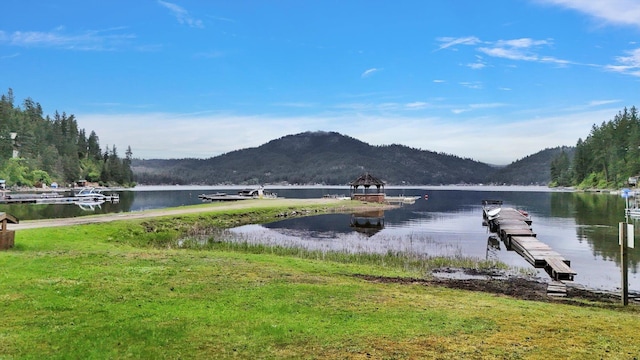 3970 Cedar Bay Rd, Loon Lake, WA 99148 - dock featuring a water and mountain view