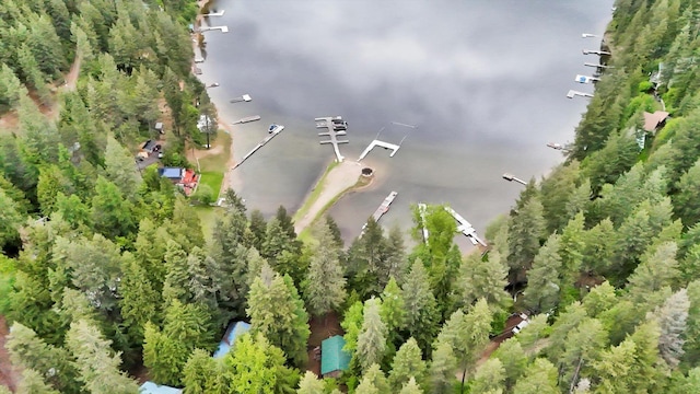 3970 Cedar Bay Rd, Loon Lake, WA 99148 - aerial view