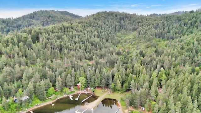 3970 Cedar Bay Rd, Loon Lake, WA 99148 - drone / aerial view of a heavily wooded area and a mountain backdrop