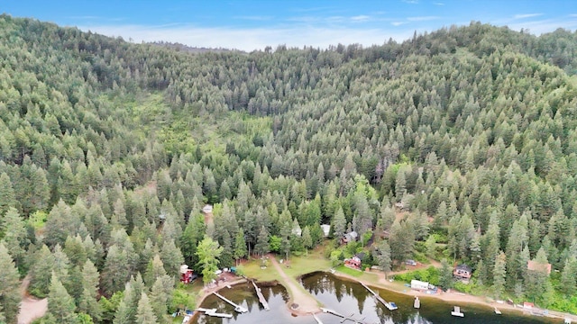 3970 Cedar Bay Rd, Loon Lake, WA 99148 - aerial view of property and surrounding area with a forest