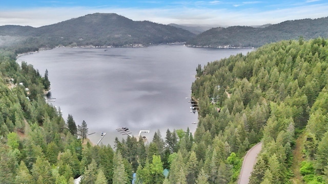 3970 Cedar Bay Rd, Loon Lake, WA 99148 - view of mountain backdrop featuring a nearby body of water