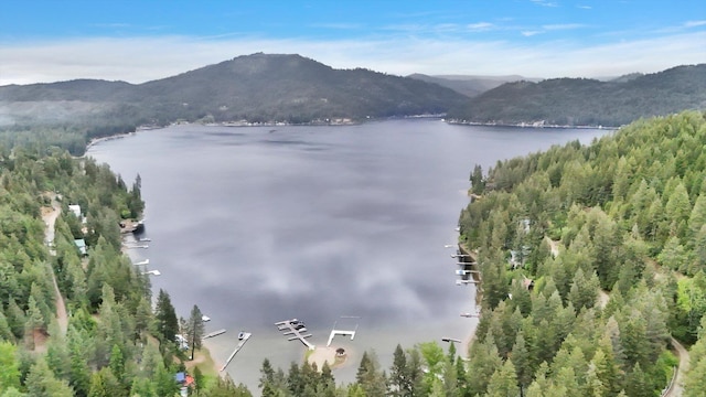 3970 Cedar Bay Rd, Loon Lake, WA 99148 - water view featuring a mountainous background