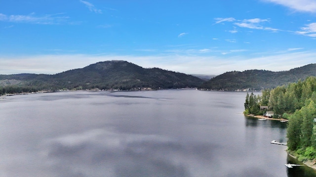 3970 Cedar Bay Rd, Loon Lake, WA 99148 - water view featuring a mountainous background