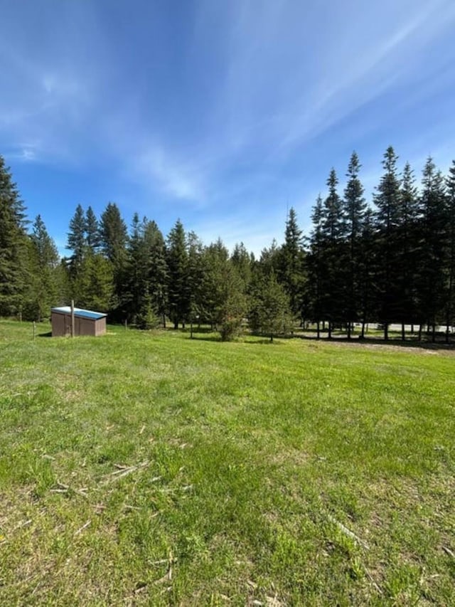 1108 Basin Rd, Colville, WA 99114 - view of grassy yard featuring a forest view