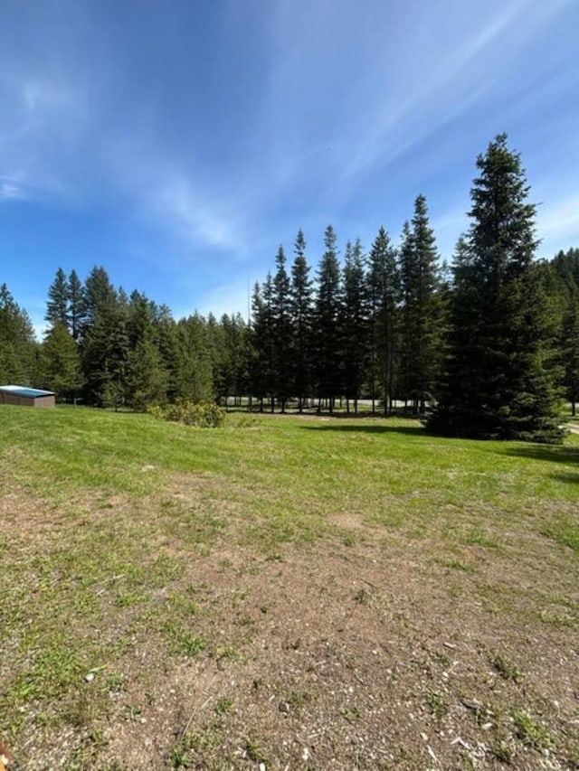1108 Basin Rd, Colville, WA 99114 - view of grassy yard featuring a forest view