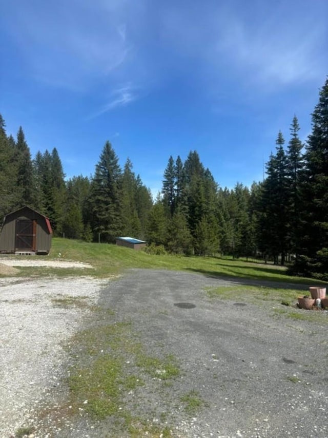 1108 Basin Rd, Colville, WA 99114 - view of dirt / gravel road with a view of trees