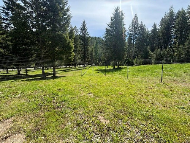 1108 Basin Rd, Colville, WA 99114 - view of yard featuring a view of trees