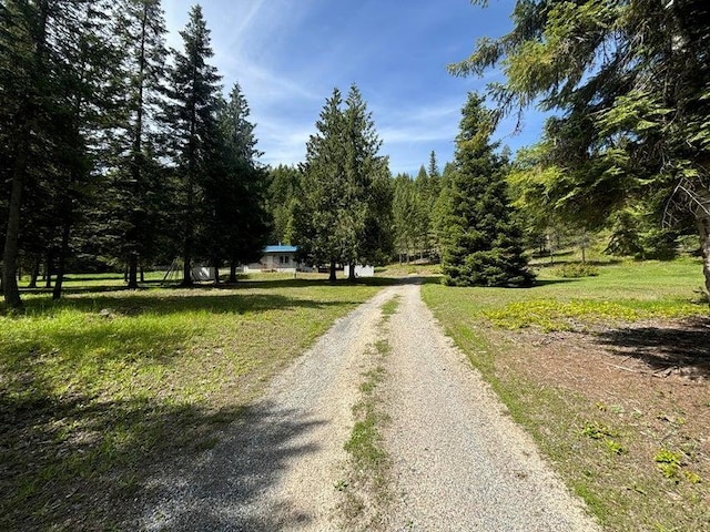1108 Basin Rd, Colville, WA 99114 - view of dirt / gravel driveway featuring a forest view