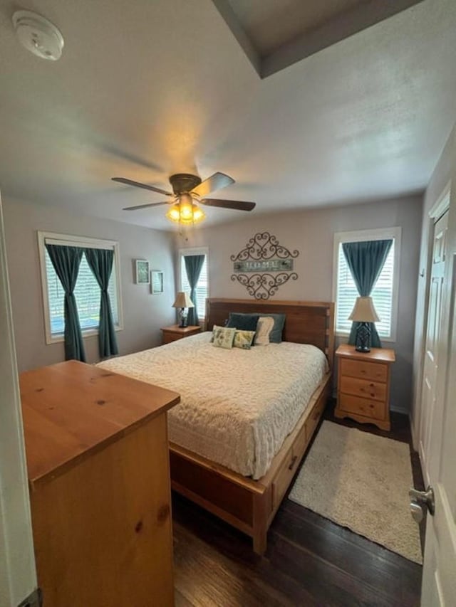 1108 Basin Rd, Colville, WA 99114 - bedroom with dark wood-type flooring, multiple windows, a closet, and a ceiling fan
