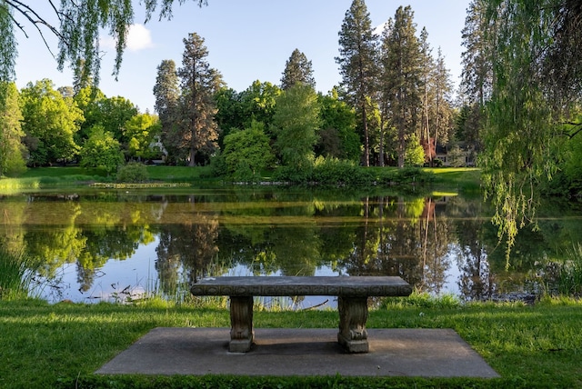 918 W 18th Ave, Spokane, WA 99203 - surrounding community featuring a water view