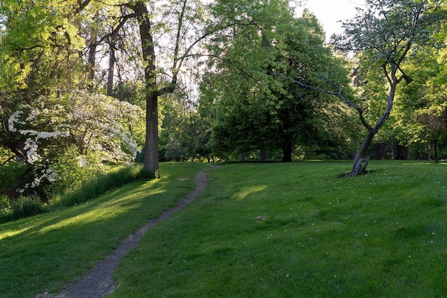 918 W 18th Ave, Spokane, WA 99203 - view of grassy yard