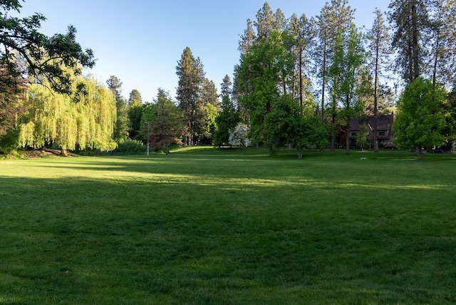 918 W 18th Ave, Spokane, WA 99203 - surrounding community featuring a yard
