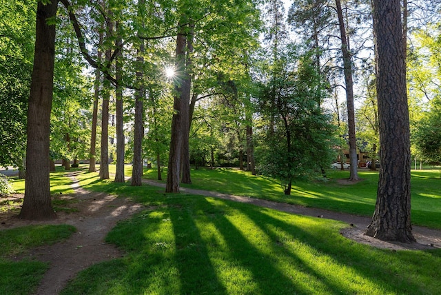 918 W 18th Ave, Spokane, WA 99203 - view of property's community with a yard