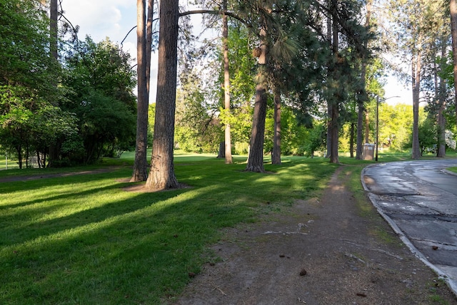 918 W 18th Ave, Spokane, WA 99203 - view of home's community featuring a lawn