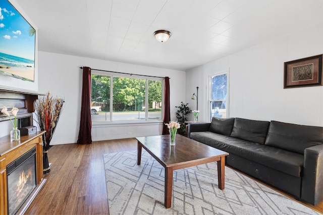 2108 E Pacific Avenue 2110E Pacific Ave Spokane, Wa 99202, Spokane, WA 99202 - living area featuring healthy amount of natural light, wood finished floors, a glass covered fireplace, and baseboards