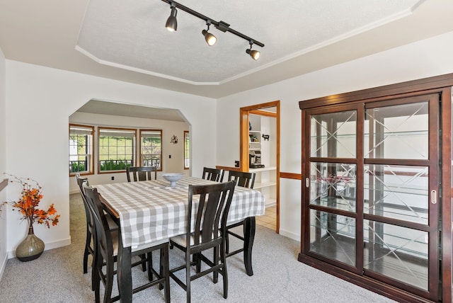 11510 E 20th Ave, Spokane Valley, WA 99206 - dining space with light colored carpet, baseboards, arched walkways, and track lighting