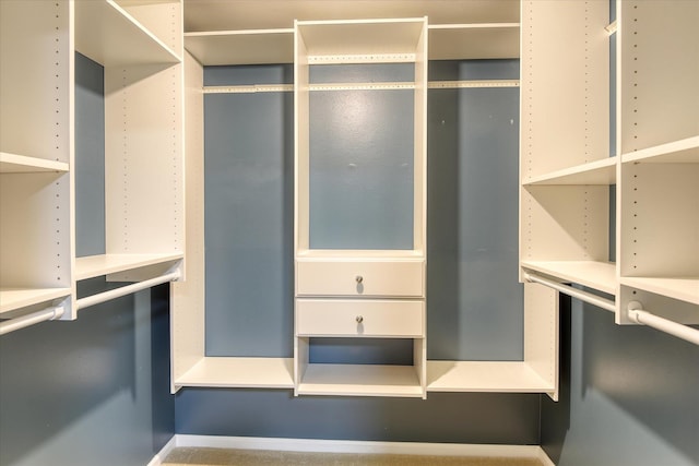 17614 N Palomino Rd, Colbert, WA 99005 - view of walk in closet