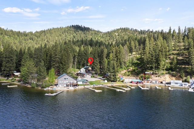 4053 Hanleys Hvn, Loon Lake, WA 99148 - drone / aerial view of a heavily wooded area and a large body of water