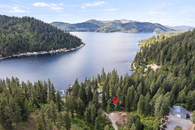 4053 Hanleys Hvn, Loon Lake, WA 99148 - water view featuring mountains and a heavily wooded area
