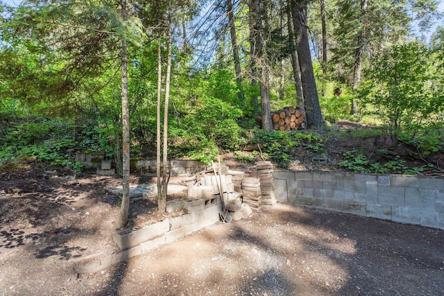 4053 Hanleys Hvn, Loon Lake, WA 99148 - view of yard