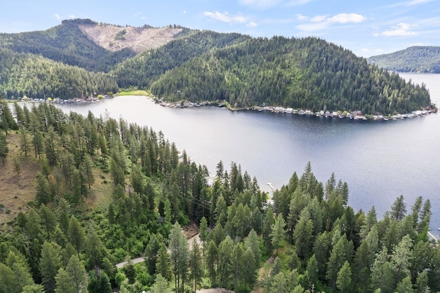 4053 Hanleys Hvn, Loon Lake, WA 99148 - water view featuring a heavily wooded area and a mountainous background