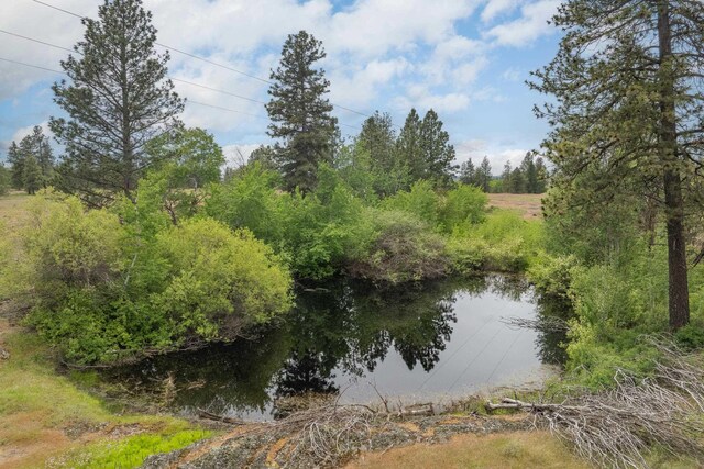 16010 W Jade Ln, Medical Lake, WA 99022 - water view