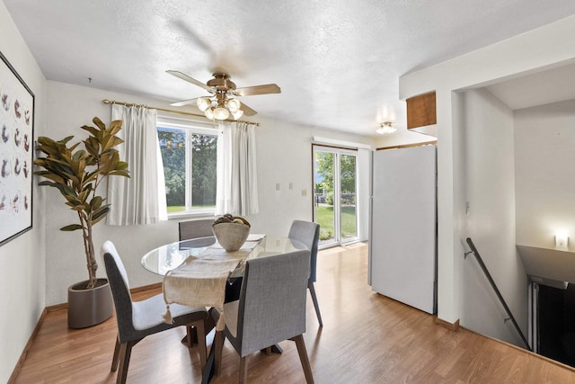 13304 E Desmet Ave, Spokane Valley, WA 99216 - dining space with light wood-style floors, a ceiling fan, a textured ceiling, and baseboards