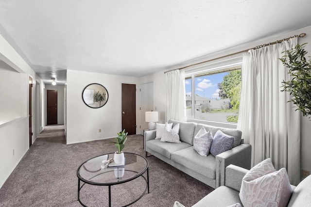 13304 E Desmet Ave, Spokane Valley, WA 99216 - view of carpeted living room