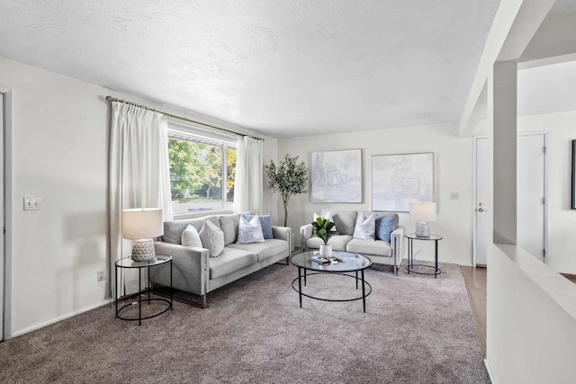 13304 E Desmet Ave, Spokane Valley, WA 99216 - living area featuring carpet flooring and a textured ceiling