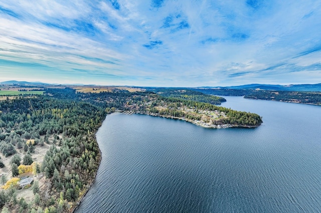 21503 S Cave Bay Rd, Worley, ID 83876