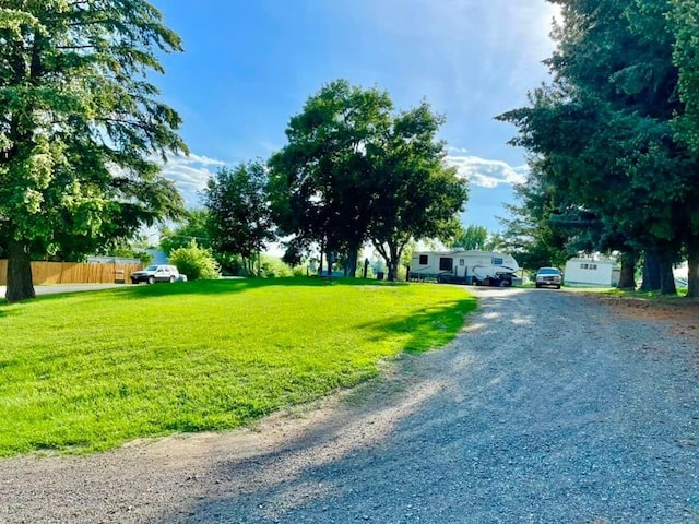 view of dirt / gravel driveway