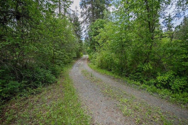 2267 Hawks Rd, Colville, WA 99114 - photo 28