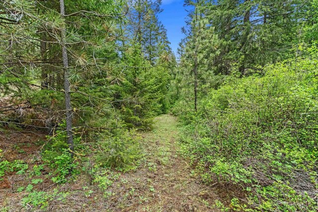 32930 N Harker Canyon Rd, Davenport, WA 99122