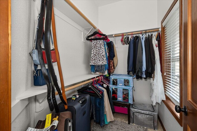 16503 W Bluebird Ln, Spokane, WA 99224 - spacious closet with carpet flooring