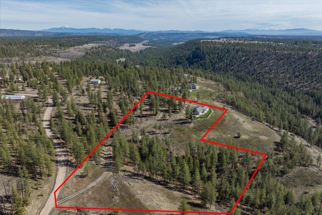 16503 W Bluebird Ln, Spokane, WA 99224 - view of property location with a mountain backdrop, a heavily wooded area, and property boundaries highlighted
