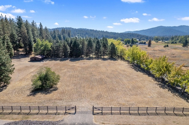 4311 S Madison Rd, Spokane Valley, WA 99206 - photo 46