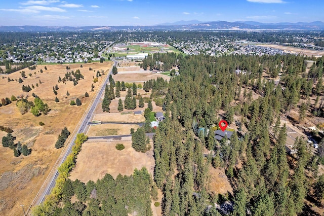 4311 S Madison Rd, Spokane Valley, WA 99206 - photo 49